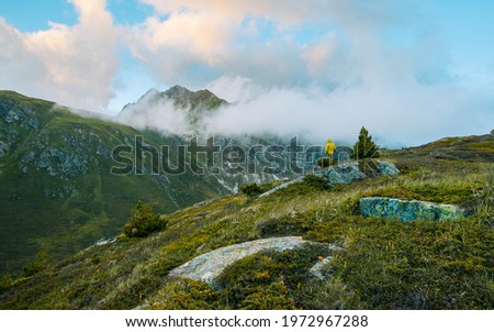 Green environment of the Julierpass in the Swiss Mountains