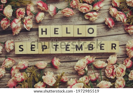 Hello September alphabet letters with pink flower decoration on wooden background