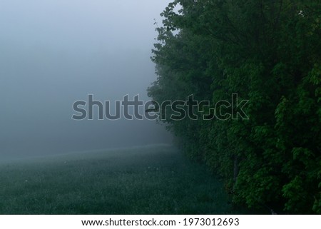 Foggy meadow landscape in Groesbeek photographed during the morning