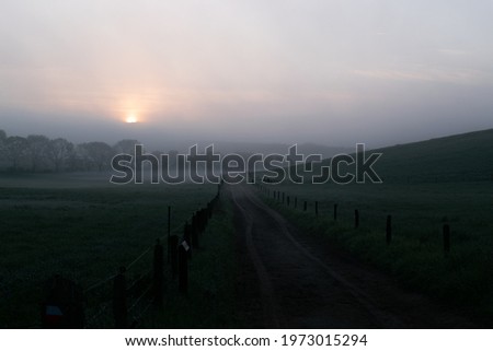 Path between two grass landscapes, Foggy morning sunrise at the dutch meadow landscape in Groesbeek, the Netherlands