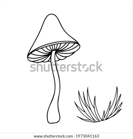 Mushroom sketch  in doodle style. Death cap botanical design vector illustration