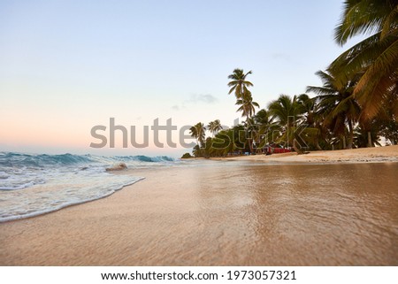 Paradise beach. Tropical paradise, white sand, beach, palm trees and clear water.