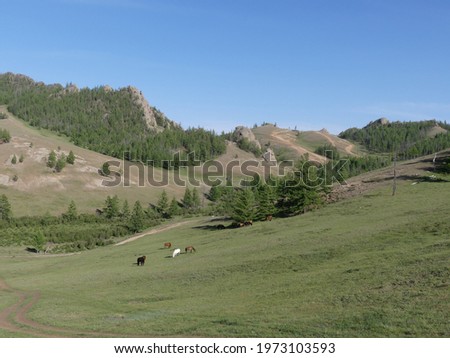 Beautiful view (Rainbow hill, Gorkhi Terelj National Park, Mongolia, Asia)
