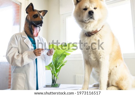 female veterinary doctor with dog mask and with dog in clinic