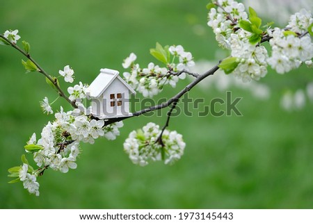 miniature toy house and cherry flowers tree, abstract green backdrop. concept of mortgage, construction, rental, property. family, eco-home symbol. spring season nature background. template for design