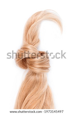 Blonde hair lock tied in knot. Strand of honey blonde hair isolated on white background, top view. Hairdresser service, hair strength, haircut, dying or coloring, hair extension, treatment concept Royalty-Free Stock Photo #1973145497