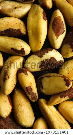 Brazil nut castanha do pará photography background texture