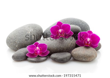 Spa masage stones and orchid isolated on the white background.