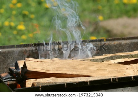 Firewood in the grill, the fire is burning and there is smoke. Open fire, burning wood