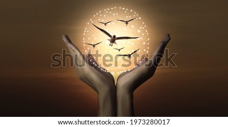 Abstract silhouette hand with free birds flying and sky sunrise background, Hope and freedom concept	