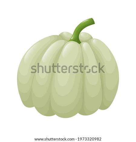 Cute green pumpkin. Isolated vegetable in the white background. Flat style illustration.