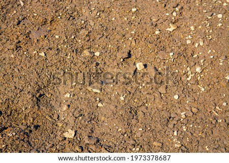 Brown mud and sand, texture and background for design, used for 3d models