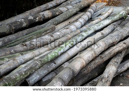 stock photo of bamboo canes in a pile, used in construction industry as bamboo scaffolding, at kolhapur, Maharashtra, India.