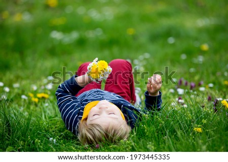 Beautiful toddler blond child, cute boy, lying in the grass in daisy and dandelions flower filed
