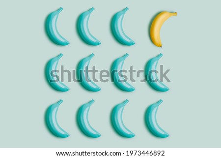 Geometrical composition with one single yellow banana among blue painted bananas against matching blue background. Creative summer fruit food concept. Minimal individuality or think different idea.