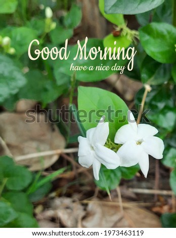 beautiful good morning wishes image