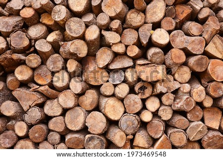 Stacked logs. Wood industry and energy resource. Timber background
