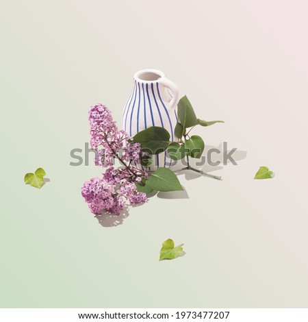 Captivating and beautiful lilac plant with small green leaves on pastel beige background. White vase with blue stripes. Minimal nature concept. Green and ping gradient.