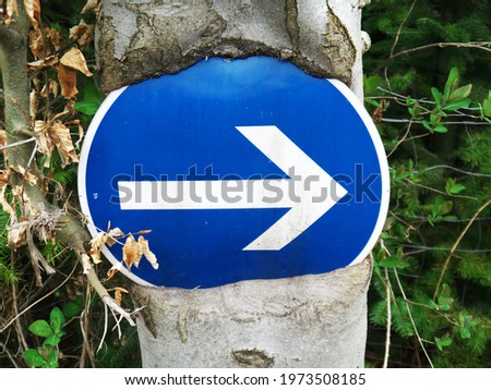 Ingrown traffic sign in the forest 