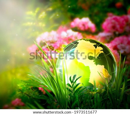Earth Day or World Environment Day concept. Save our Planet, restore and protect Green Nature, sustainable lifestyle and Climate literacy theme. Glass Globe in clean forest grass, ecological topics.