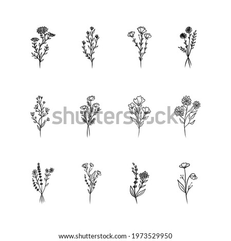 Set of vector floral design elements. Decoration elements for invitation, wedding cards, valentines day, wall art, greeting cards. Hand draw vector design elements. Vector EPS10.