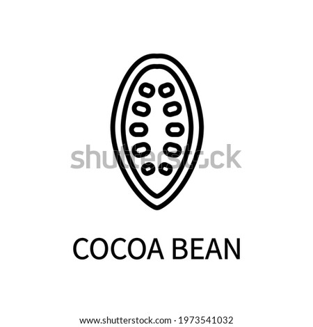 Cocoa Bean Line Icon Is In Simple Style. Healthy Food. Natural Product. Vector sign in a simple style isolated on a white background.