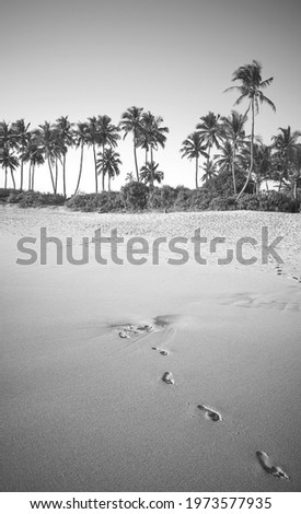 Black and white picture of a tropical beach with footprints on sand.