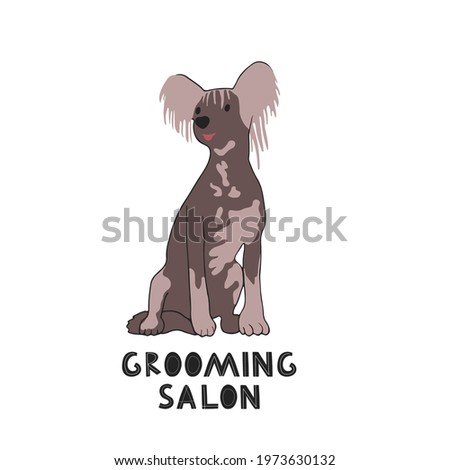 Pet grooming concept. Cute doggy Illustration for dog care, grooming, hygiene, health, Pet shop. Flat style vector banner