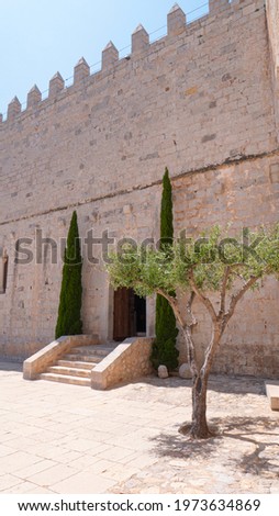 Patio of the castle of Peñíscola with an olive tree and two cypresses (Spain)