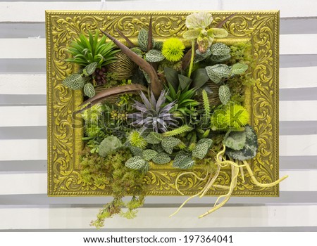 Flowers in the picture frames