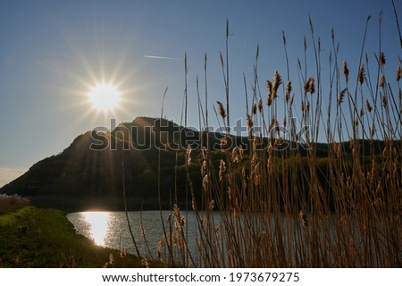 in the evening view of the sun shining through the mountain to the lake and dried flowers horizontal photo