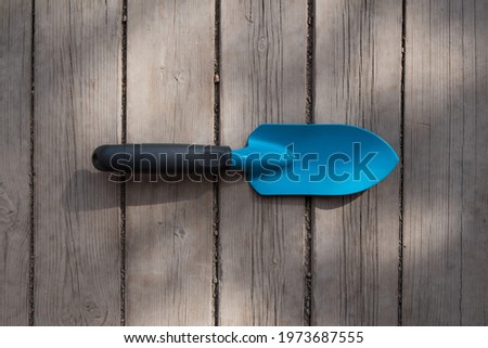 Small blue gardener's spatula on the wooden floor