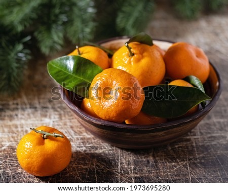 Ceramic plate with ripe fragrant tangerines and spruce branch on the background on an old wooden table. New Year. Picture. Postcard.