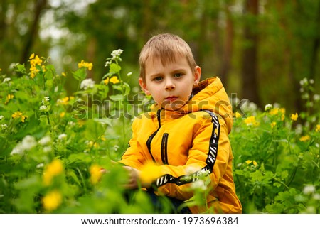 boy of seven years on a meadow with yellow flowers in spring