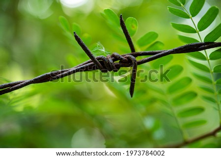 extreme closeup shot of barbed wire on green garden bokeh background