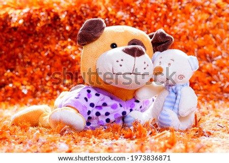 Soft toys on orange background.Studio shot of teddy puppy and teddy bear on orange background.