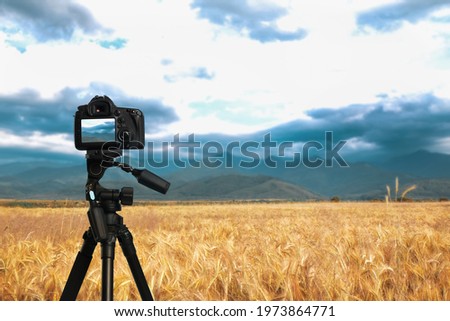 Taking photo of beautiful wheat field with camera mounted on tripod