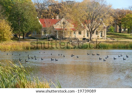    A picture of a lake with waterfowl  surrounded by foliage and recreational house