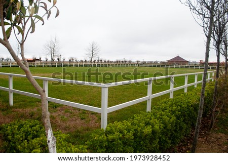 Levada paddock for walking and training horses. Manege, show jumping for horse training. Green and large horse levada Royalty-Free Stock Photo #1973928452