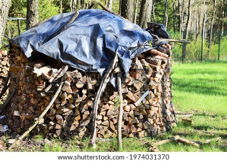 Preparation of firewood for the stove. Big pile of firewood