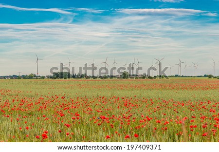 Summer sunset at red field of poppies, gorgeous nature, Germany, 2014