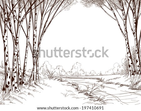 Birch tree forest, graphic background