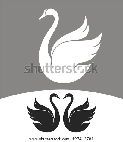 White swan and black swans. Vector illustration