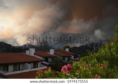 Pacific Palisades brush fire, California brush fire, 05.15.2021, wildfire, nature disaster Royalty-Free Stock Photo #1974173555