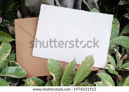 Paper mock up white card and envelope on a green leaves. Creative layout with nature concept. Natural at garden photo. Brown envelope, wedding mockup style.