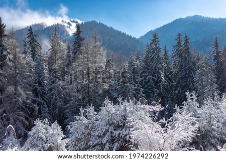 Rila mountain in winter landscapes