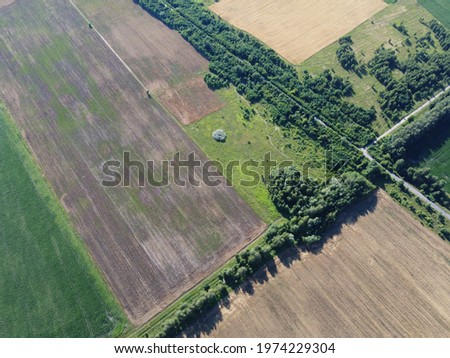 Crossroads of two roads among farm fields, aerial view. Agrarian landscape, bird's-eye view.
