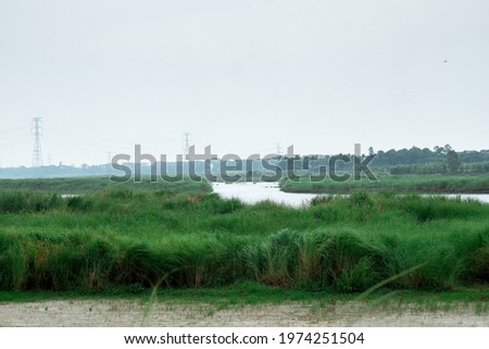 Landscape view of green grasses beside the river under the cloudy sky before rain