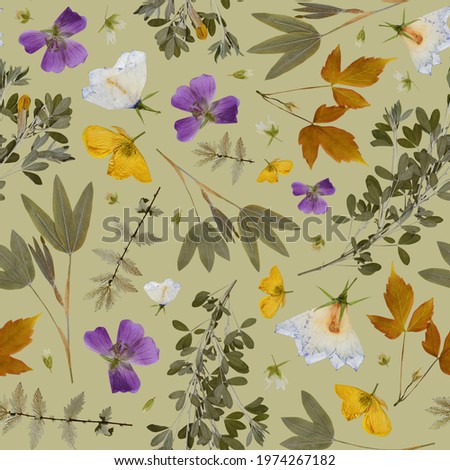 Floral seamless pattern in collage technique. Pressed flowers and plants on light green background. Herbarium. Royalty-Free Stock Photo #1974267182