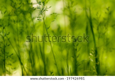 Abstract background green bokeh. Spring theme.